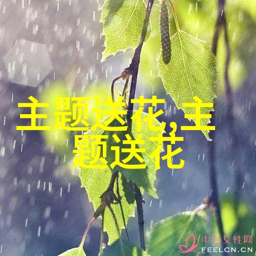 海口市周围的花店